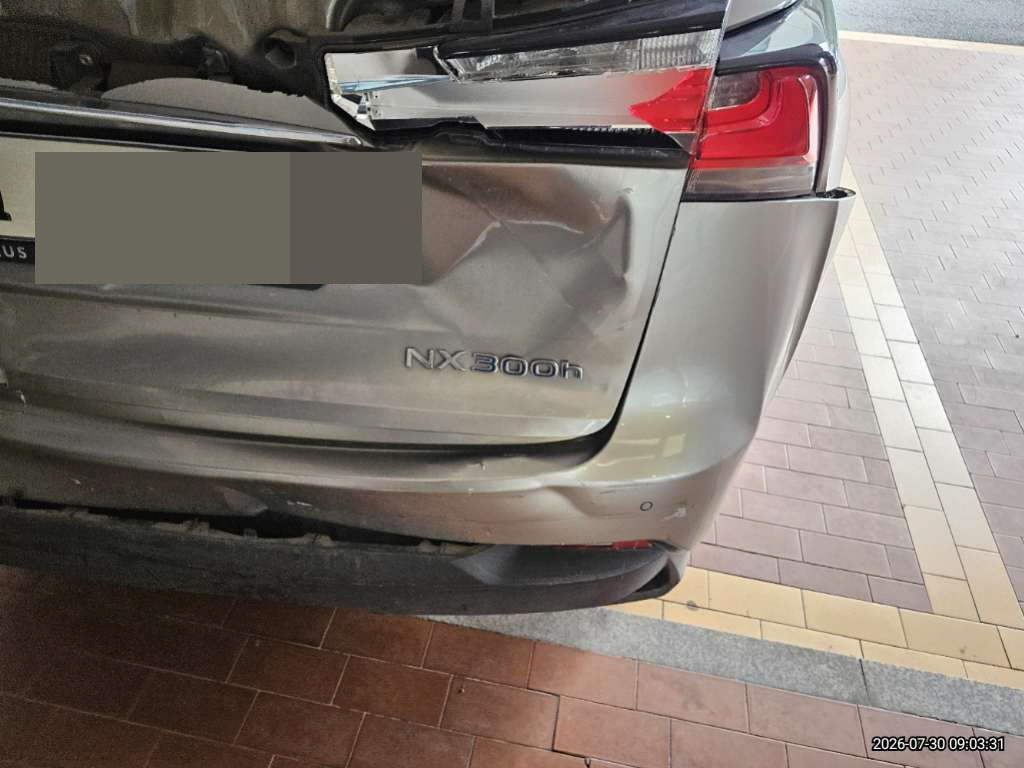 렉서스 NX300h