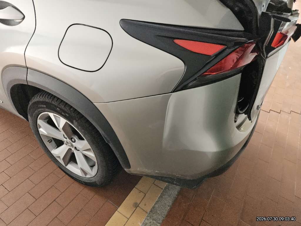 렉서스 NX300h