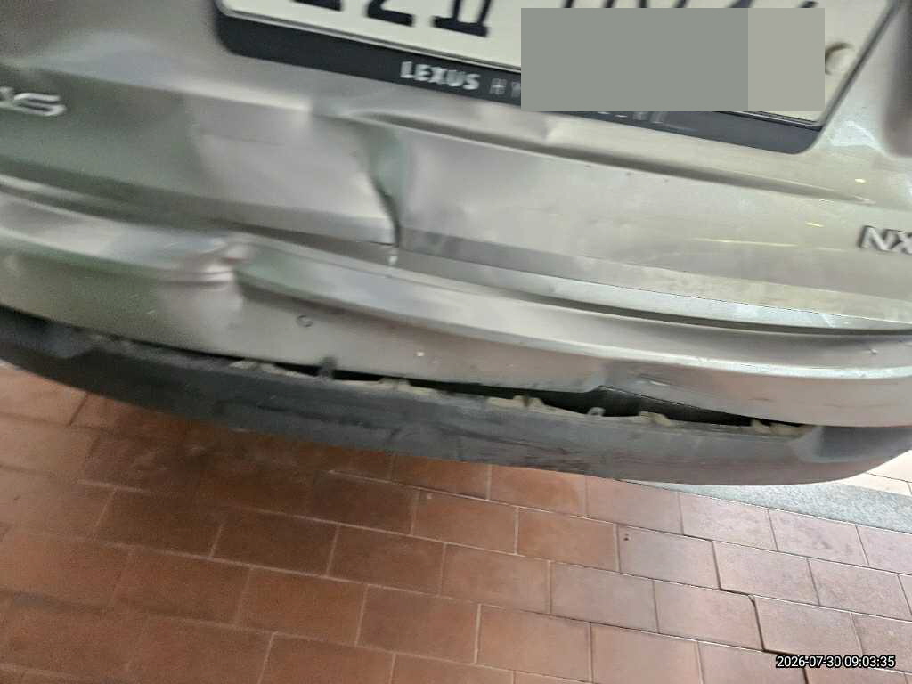 렉서스 NX300h