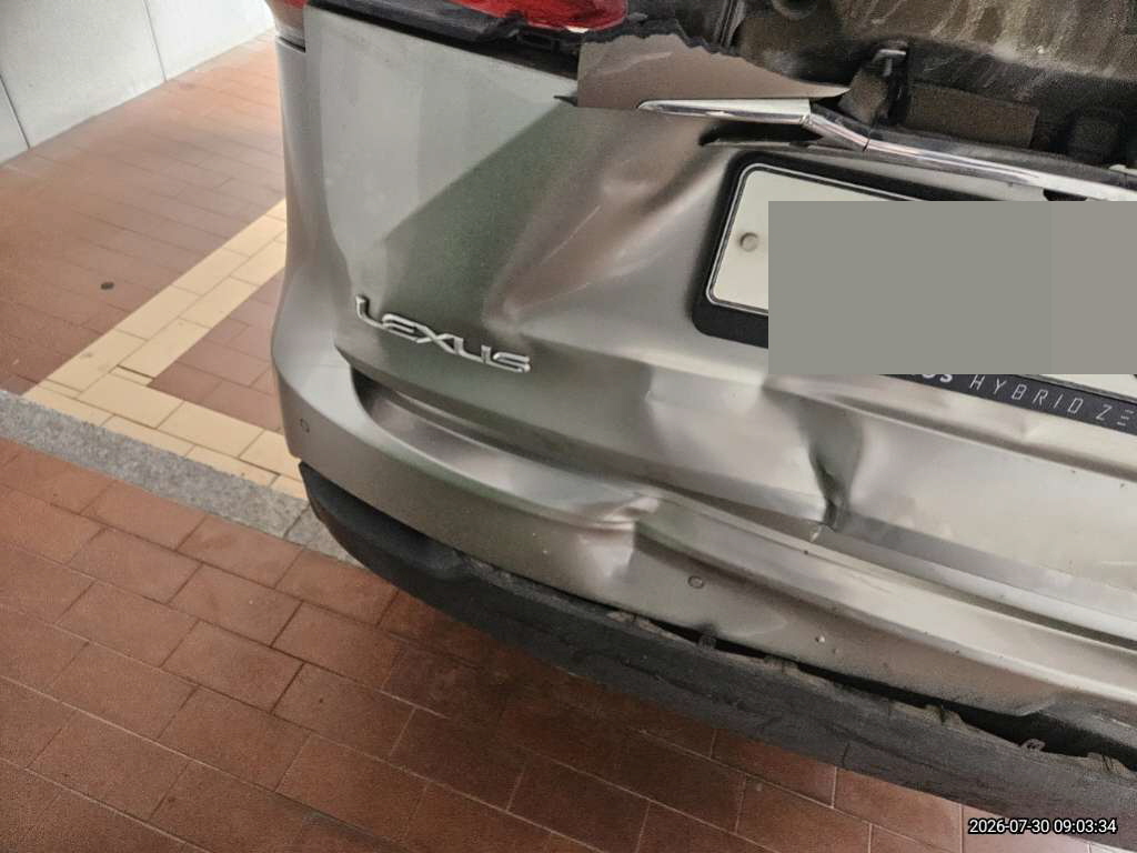 렉서스 NX300h