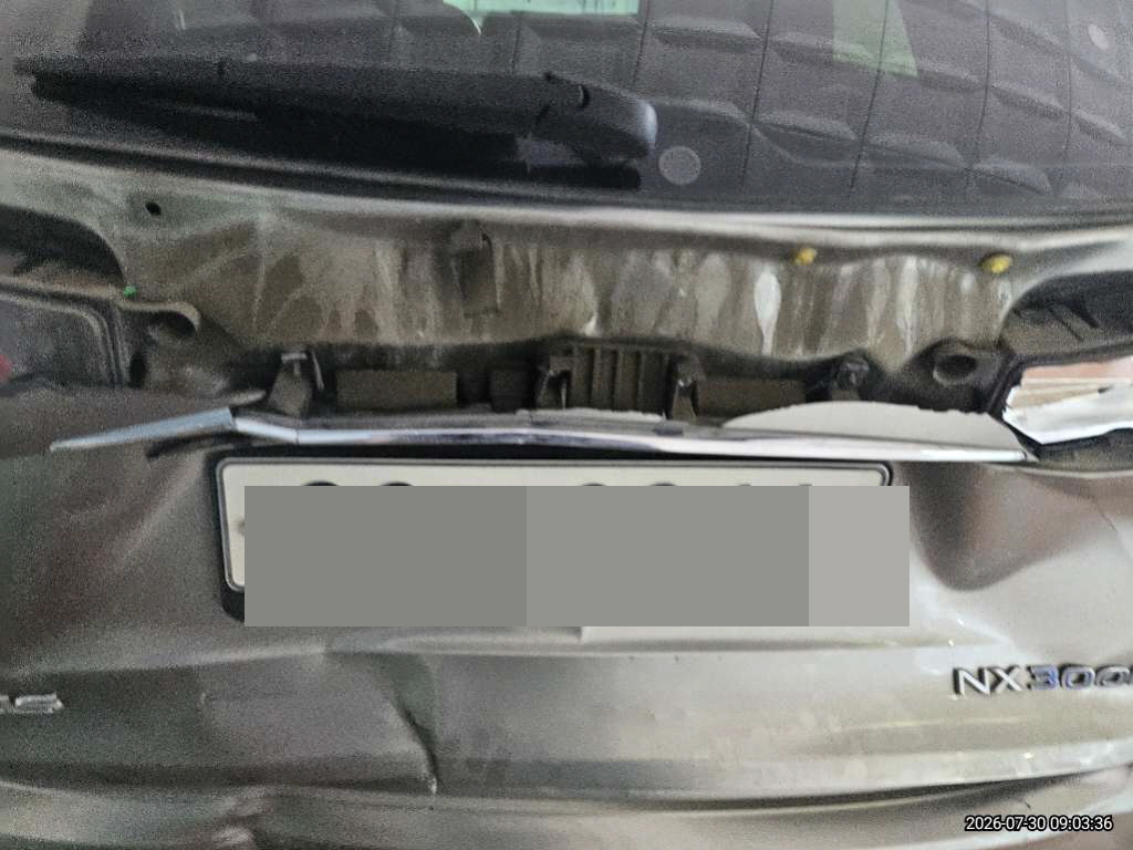 렉서스 NX300h