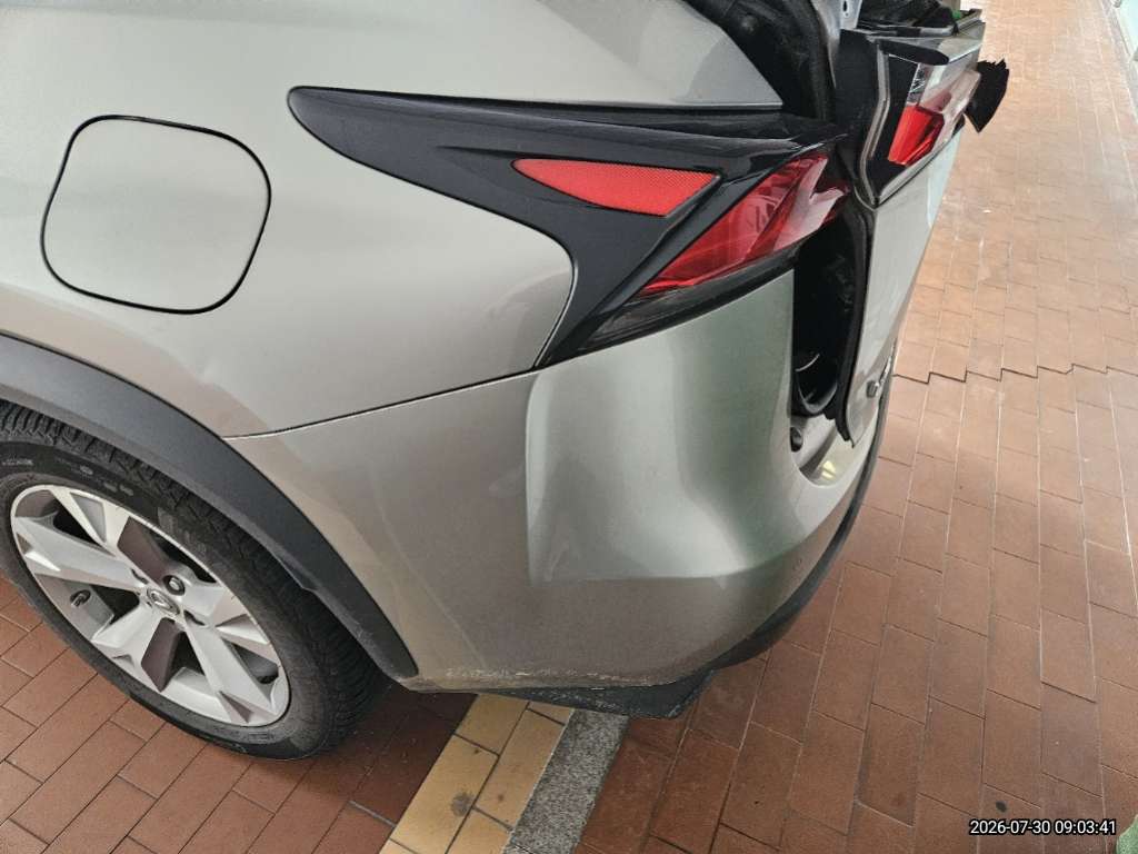 렉서스 NX300h