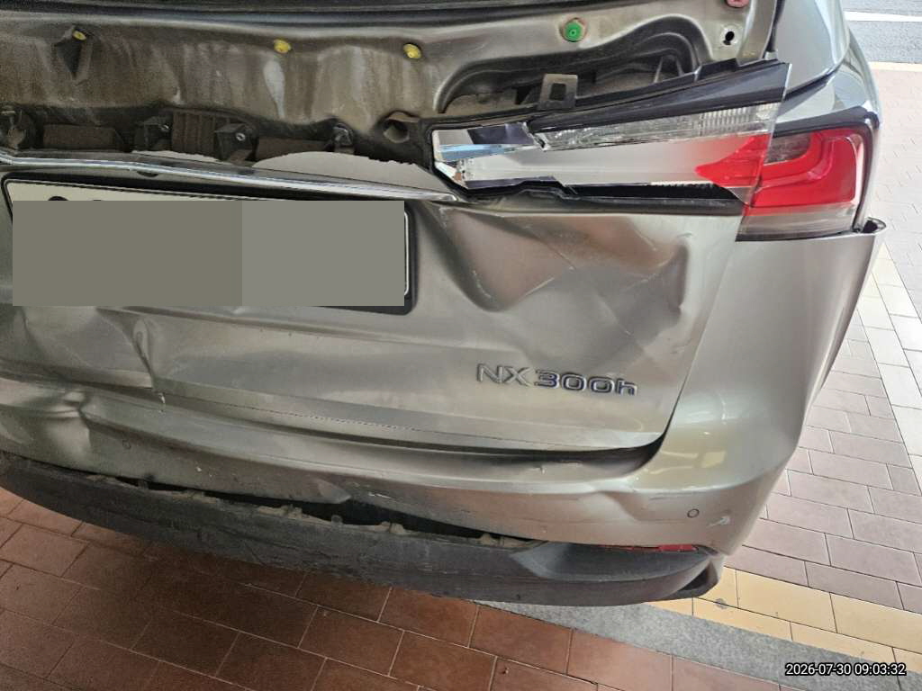 렉서스 NX300h