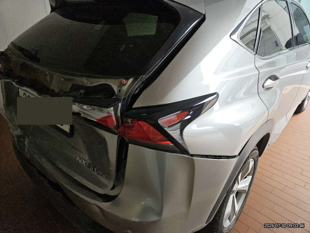 렉서스 NX300h