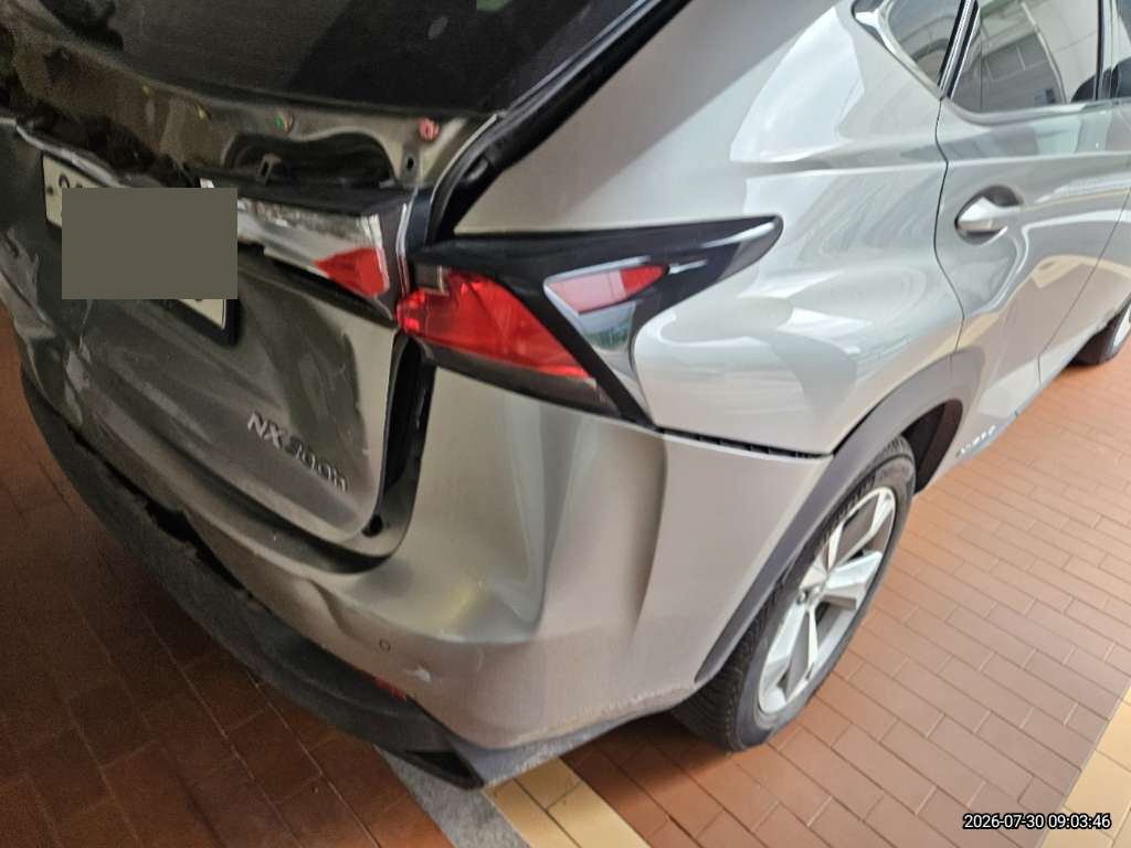 렉서스 NX300h