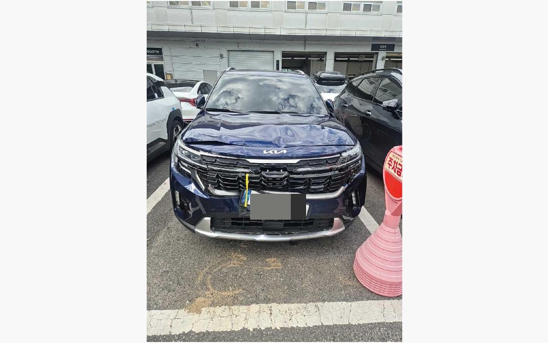 셀토스