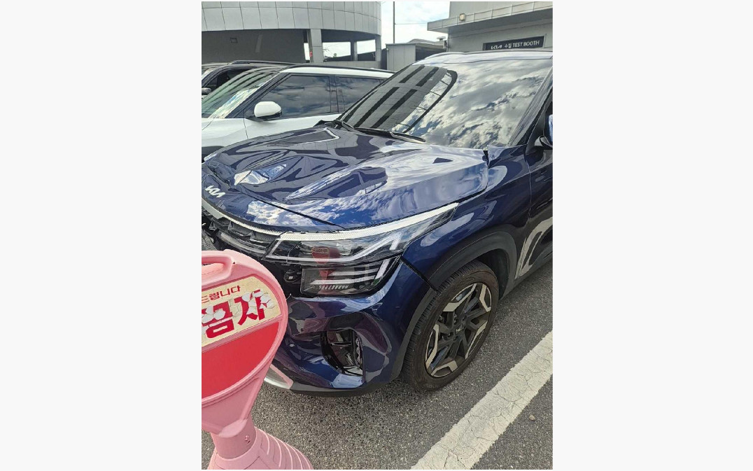 셀토스