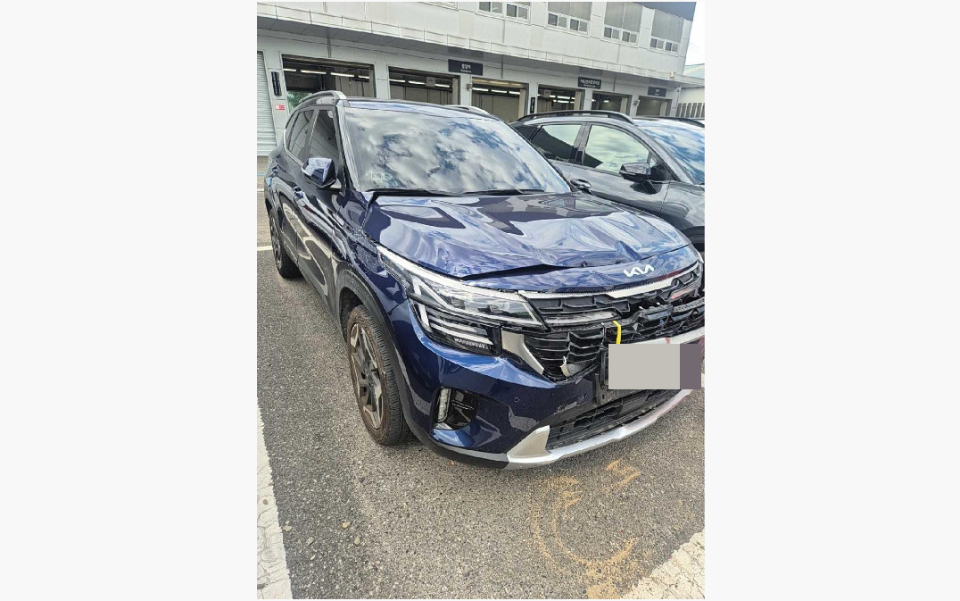 셀토스
