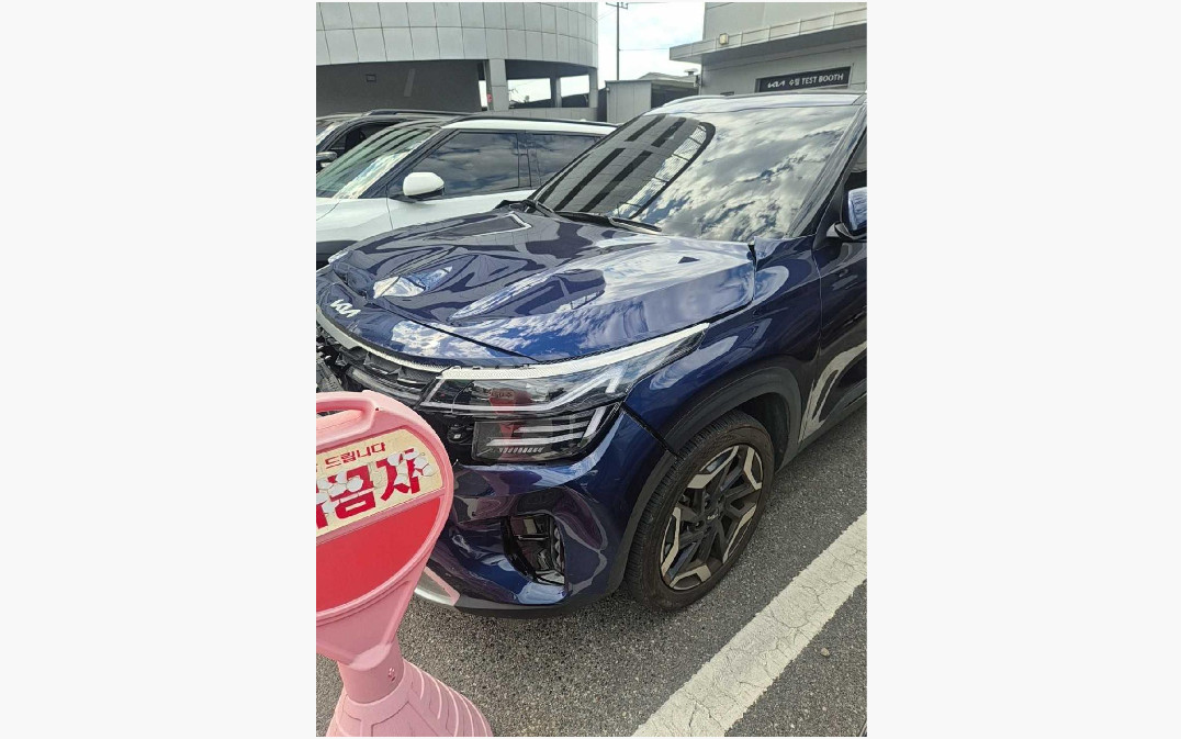 셀토스