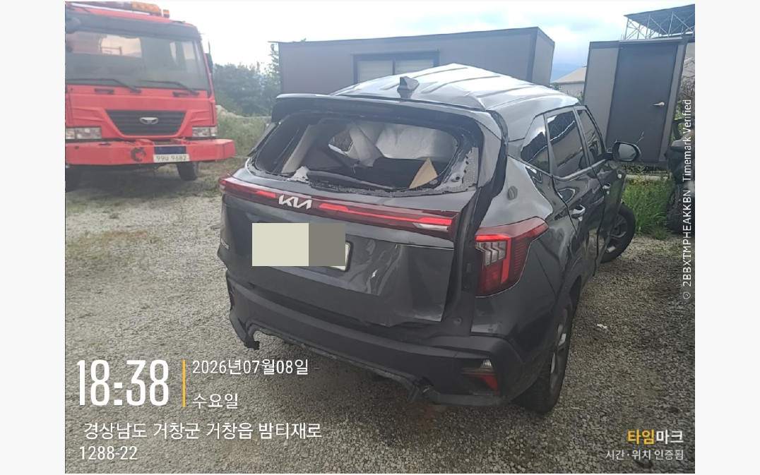 셀토스