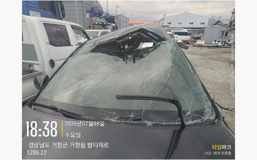 셀토스