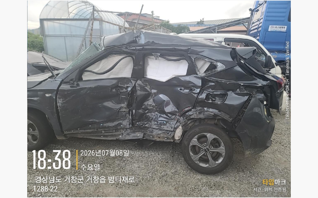 셀토스
