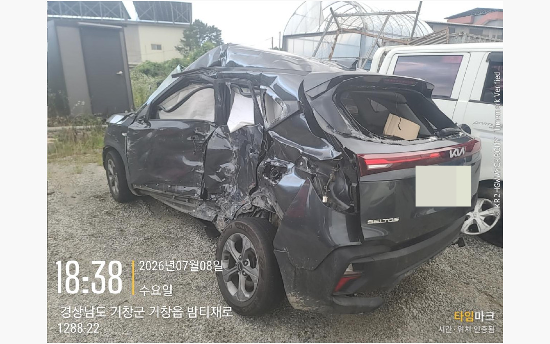 셀토스