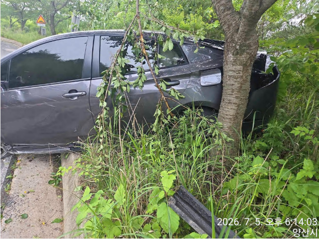토요타 Prius